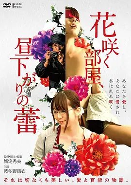莲花楼剧集封面